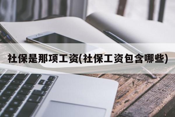 社保是那项工资(社保工资包含哪些)